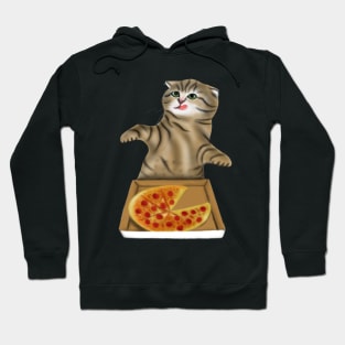 Pizza Cat Lovers Gift Hoodie